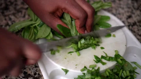 Chopping veggies Stock Footage 241152518