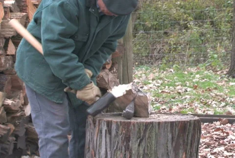 Chopping Wood 1 Stock Footage 282977