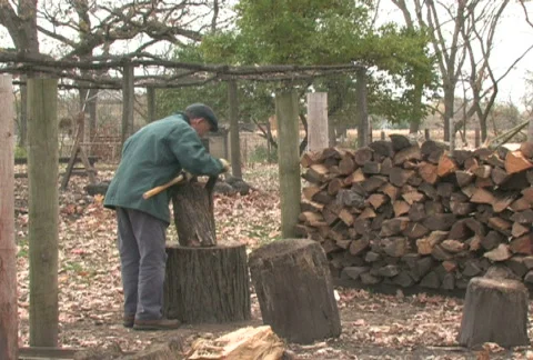 Chopping Wood 2 Stock Footage 282982