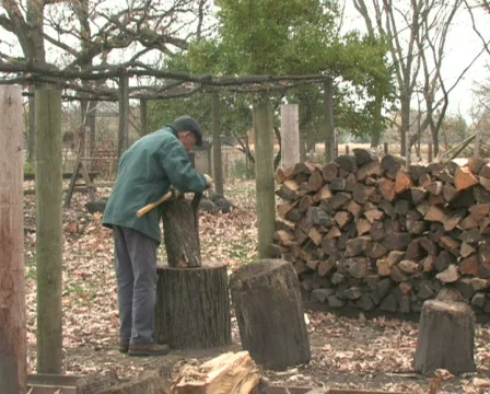Chopping Wood 2 Stock Footage 283066