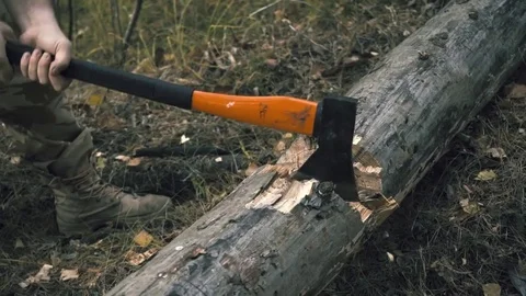 Chopping wood with an ax Stock Footage 81699863