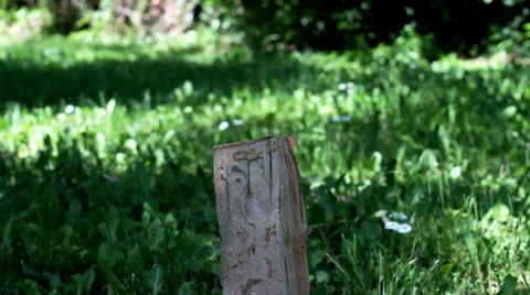 Chopping Wood with an Axe. 2 Stock Footage 34751493