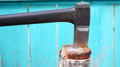 Chopping wood with axe Stock Footage 23520958