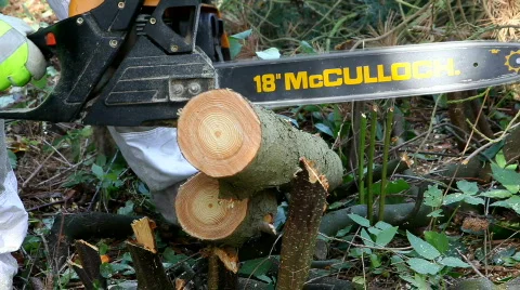 Chopping wood with chainsaw Stock Footage 853591