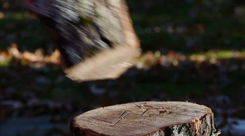 Chopping Wood Video stock 32259237