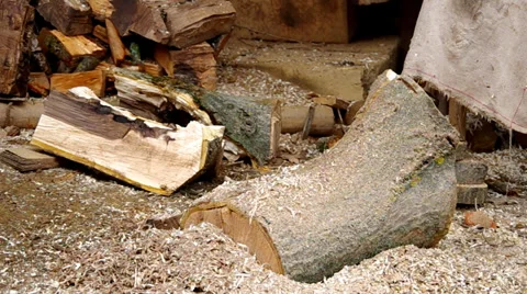 Chopping wood Stock Footage 35526942