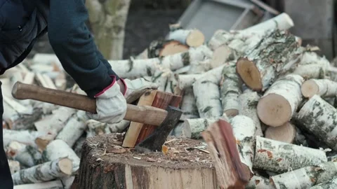 Chopping wood slow motion Stock Footage 171928865