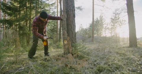 Chopping wood slow motion. Worker chopping wood outdoors Stock Footage 128525847