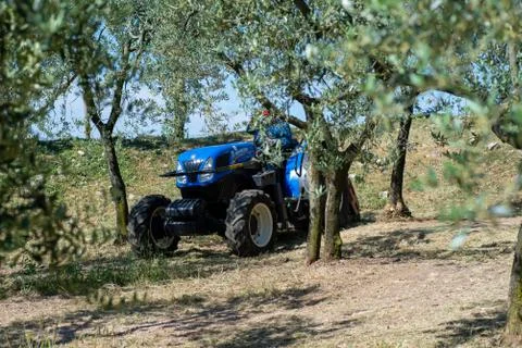 Chopping work with stalk chopper Stock Photos