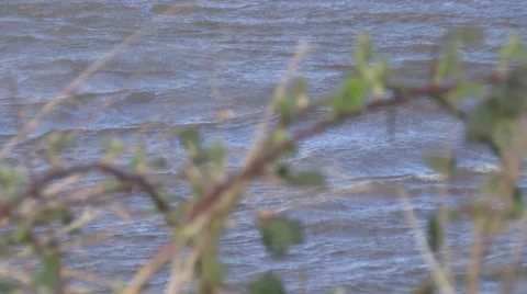 Choppy waters with bracken f/g Stock Footage 49078484