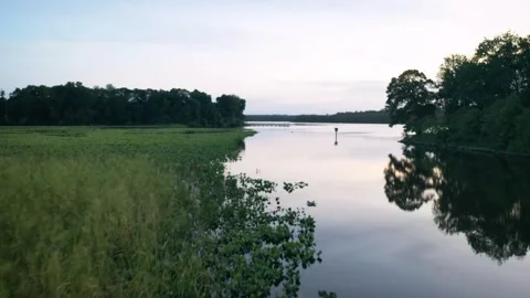 Choptank river marsh land Video stock 243912353