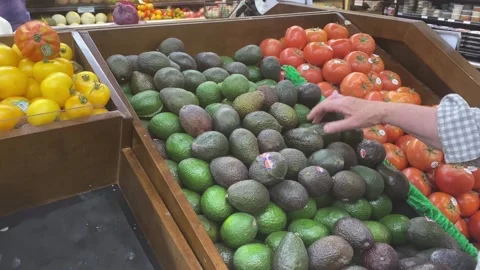Chosing ripe avocados Stock Footage 154522229