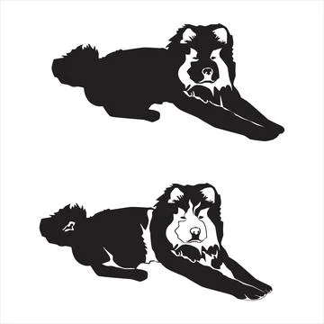 Chow chow black silhouette, vector illustration isolated on white background. Stock Illustration