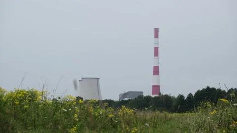 CHP 1 Video stock 204818793