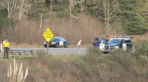 CHP and Emergency Crew at Roadside Accident Scene 1 Stock Footage 10754384
