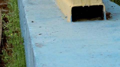 CHP stand Video stock 39306974