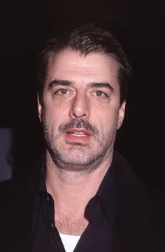 Chris Noth attends Gloss.com pre-party for the VH-1/Vogue Fashion Awards at Stock Photos