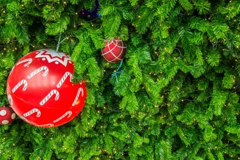 Chrismas tree for background Stock Photos