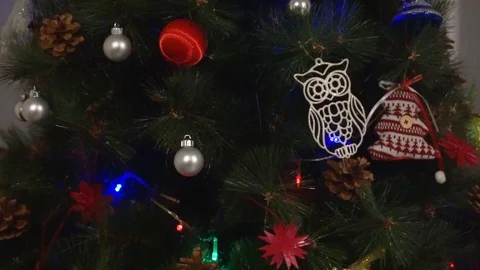 Chrismas tree Stock Footage 100405925