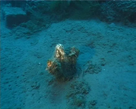 Christ of the Abyss (D062) 動画素材 146051