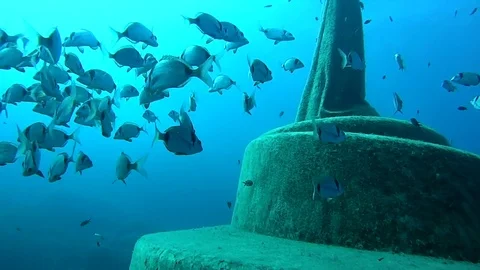 Christ of the Deep Stock Footage 70461888