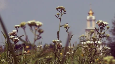 The Christian Temple blur Video stock 65467813