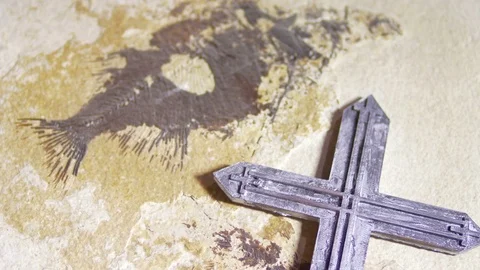 Christianity with fossil debate creationism evolution Stock Footage 69789699