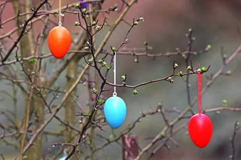  Christliche Feiertage Eine Rotdorn ist zur Osterzeit mit bunten Eiern dek... Stock Photos
