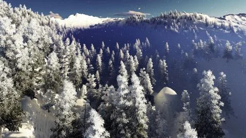 Christmac forest in mountains Stock Illustration