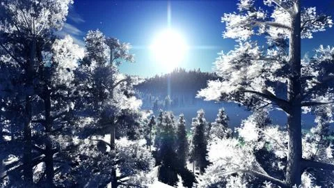 Christmac forest in mountains Illustrazione stock