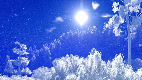 Christmac forest in mountains 库存插图