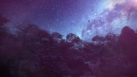 Christmas 1 Stock Footage 166876229