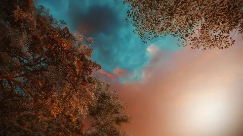 Christmas 2 Stock Footage 166876291