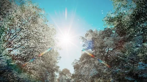 Christmas 3 Stock Footage 166876706