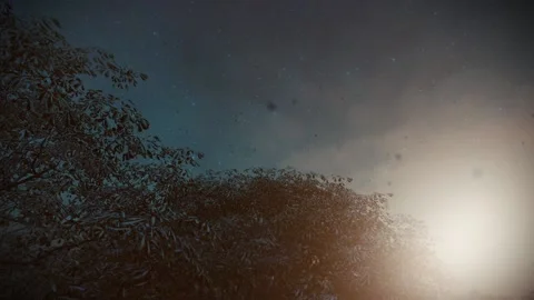 Christmas 4 Stock Footage 166876726