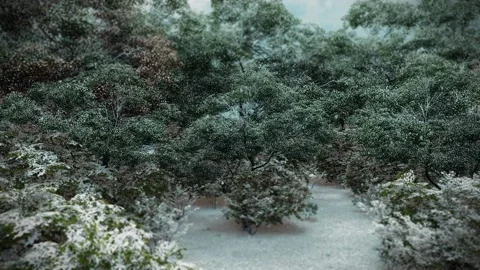 Christmas 5 Stock Footage 166876936