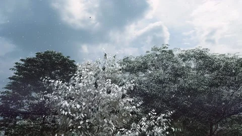 Christmas 6 Stock Footage 166877103