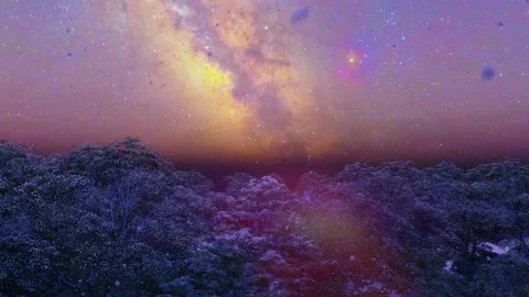 Christmas 7 Stock Footage 166877373