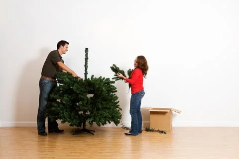Christmas: adding more branches to tree Stock Photos