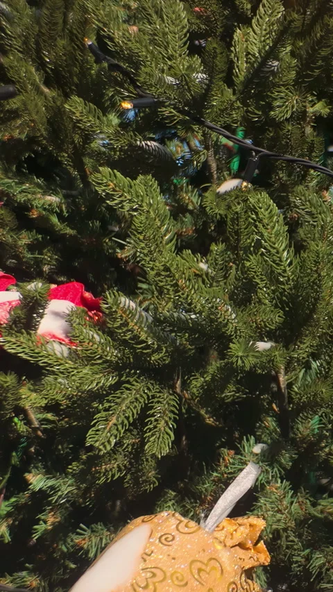 Christmas and New Year background featuring decorated tree outdoors in sunny Stock Footage 338133751