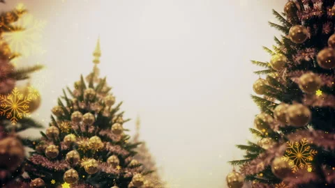 Christmas and a Tree Sparkling Stock Footage 238994384