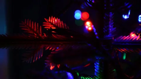 Christmas artificial tree on window Stock Footage 247335008