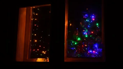 Christmas artificial tree on window Stock Footage 247340235