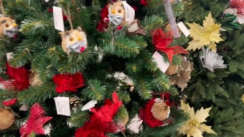 Christmas artificial trees in the store Stock Footage 256260651