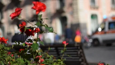 Christmas atmosphere Stock Footage 99306498