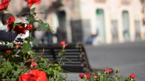 Christmas atmosphere Stock Footage 99306547