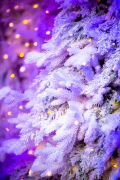 Christmas backdrop Stock Photos