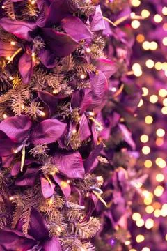Christmas backdrop Stock Photos