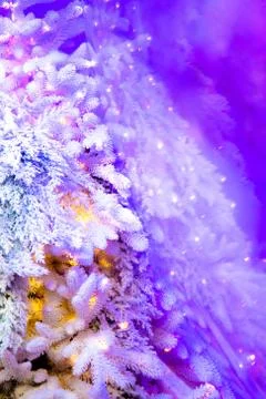 Christmas backdrop Stock Photos