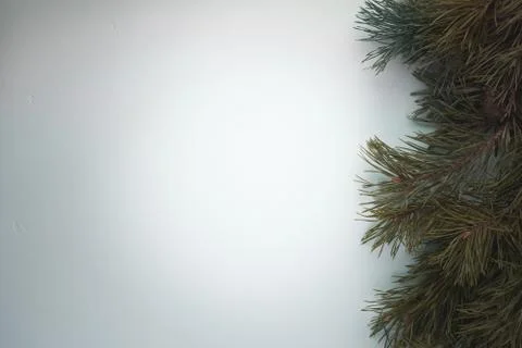 Christmas background in art processing with Pine branches on a concrete blue Stock Photos